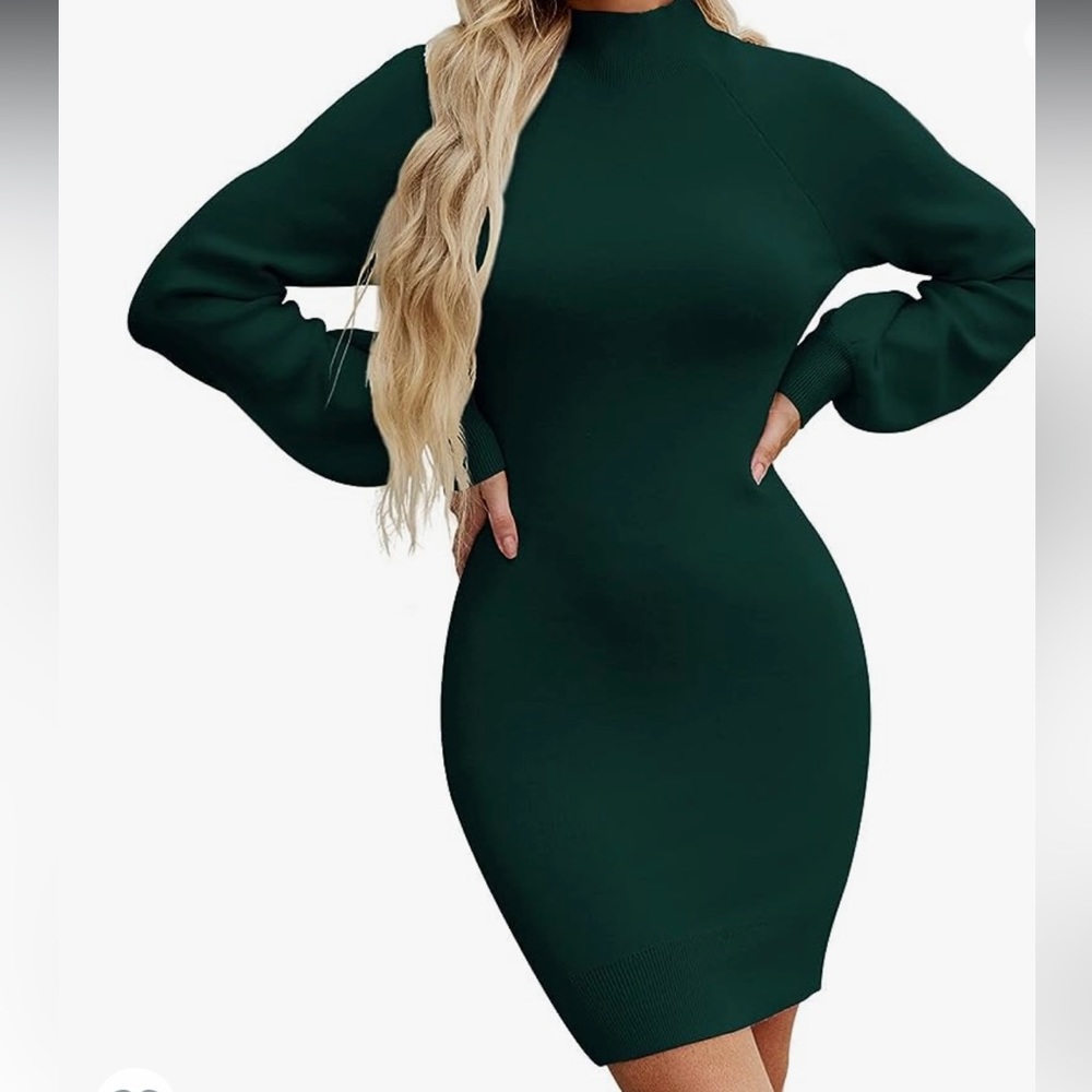 NWT Leani Long Sleeve Sweater Dress